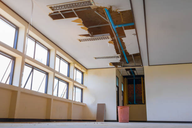 Best Flood restoration services  in Mountain Home, ID