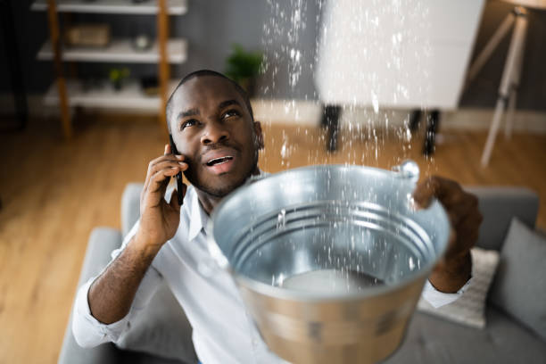 Best Sewage cleanup and water damage restoration  in Mountain Home, ID