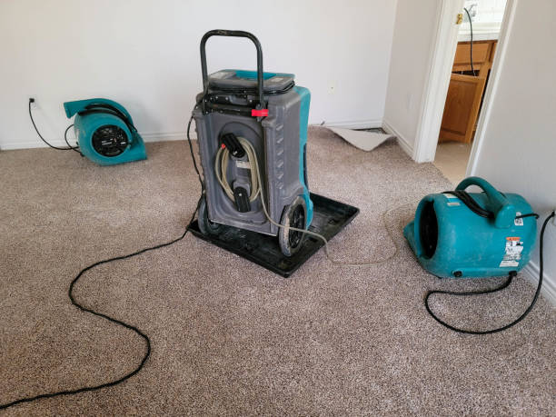 Best Carpet water damage restoration  in Mountain Home, ID