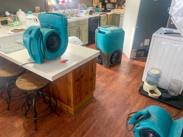 Professional Water damage restoration in ID