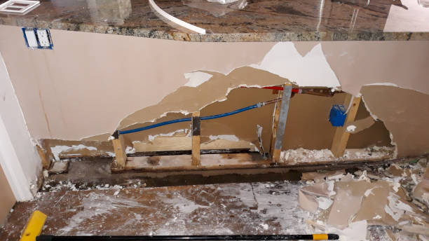  Mountain Home, ID Water damage restoration Pros