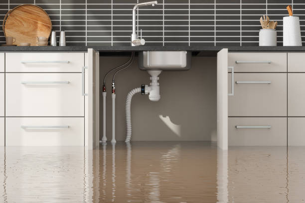 Best Water damage contractors near me  in Mountain Home, ID