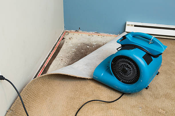 Best 24/7 water damage repair  in Mountain Home, ID