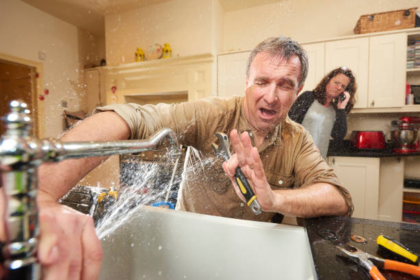 Best Professional water damage repair  in Mountain Home, ID